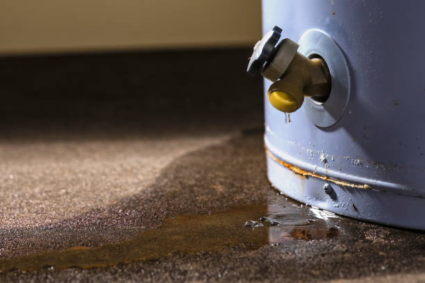 Best Water damage restoration mold remediation  in Northgate, OH