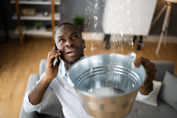 Best Ceiling water damage repair  in Northgate, OH