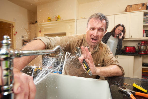 Best Carpet water damage restoration  in Northgate, OH